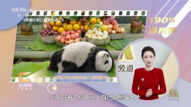 www红色一片_亚洲成a人片在线观看_